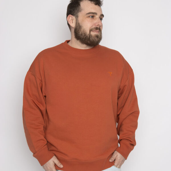 Sudadera en algodón orgánico y poliéster reciclado- unisex (Alegría)